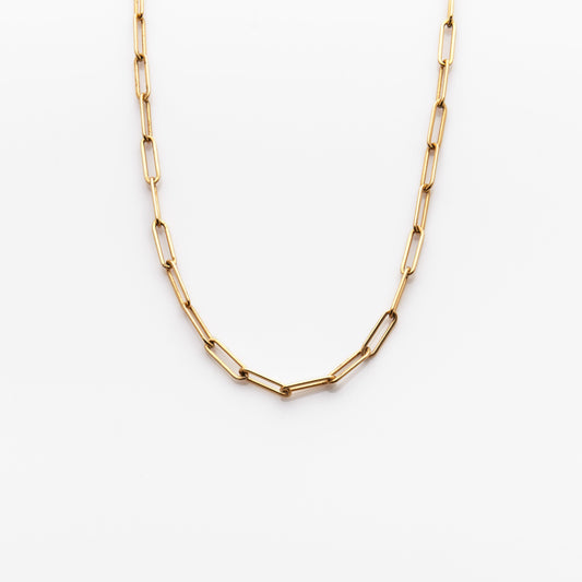Solid Gold Flat Draw Chain - Nashelle