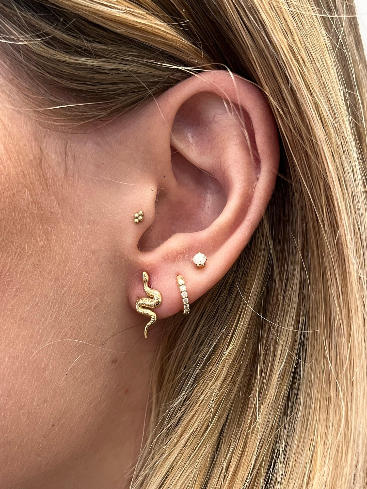 Snake Studs - Nashelle