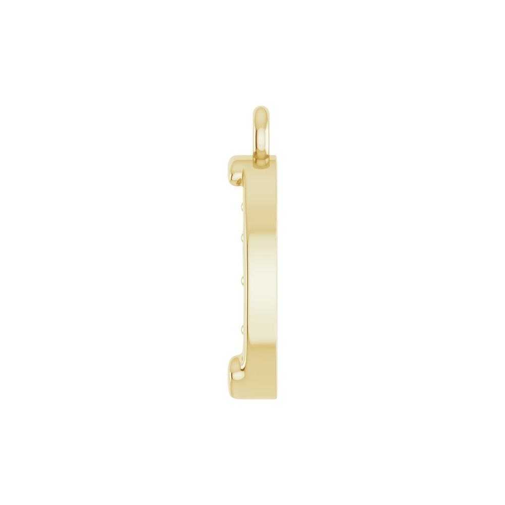 Gold Horseshoe Charm