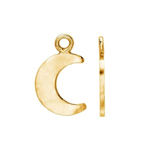 Petite Moon Charm
