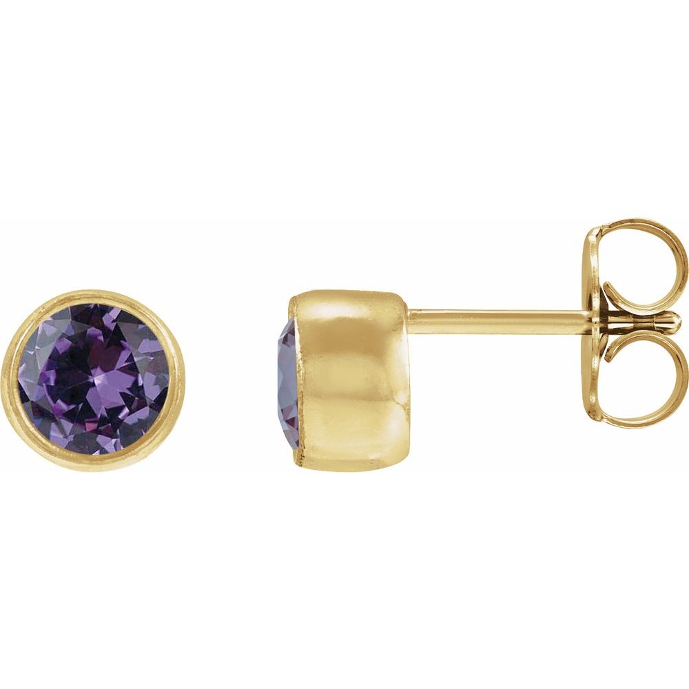 Bezel Birthstone Studs