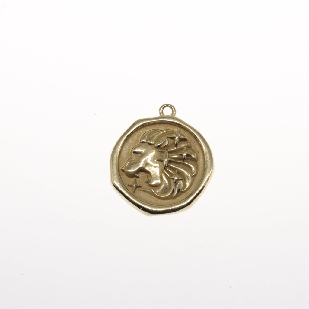 Spirit Lion Coin Charm - Nashelle