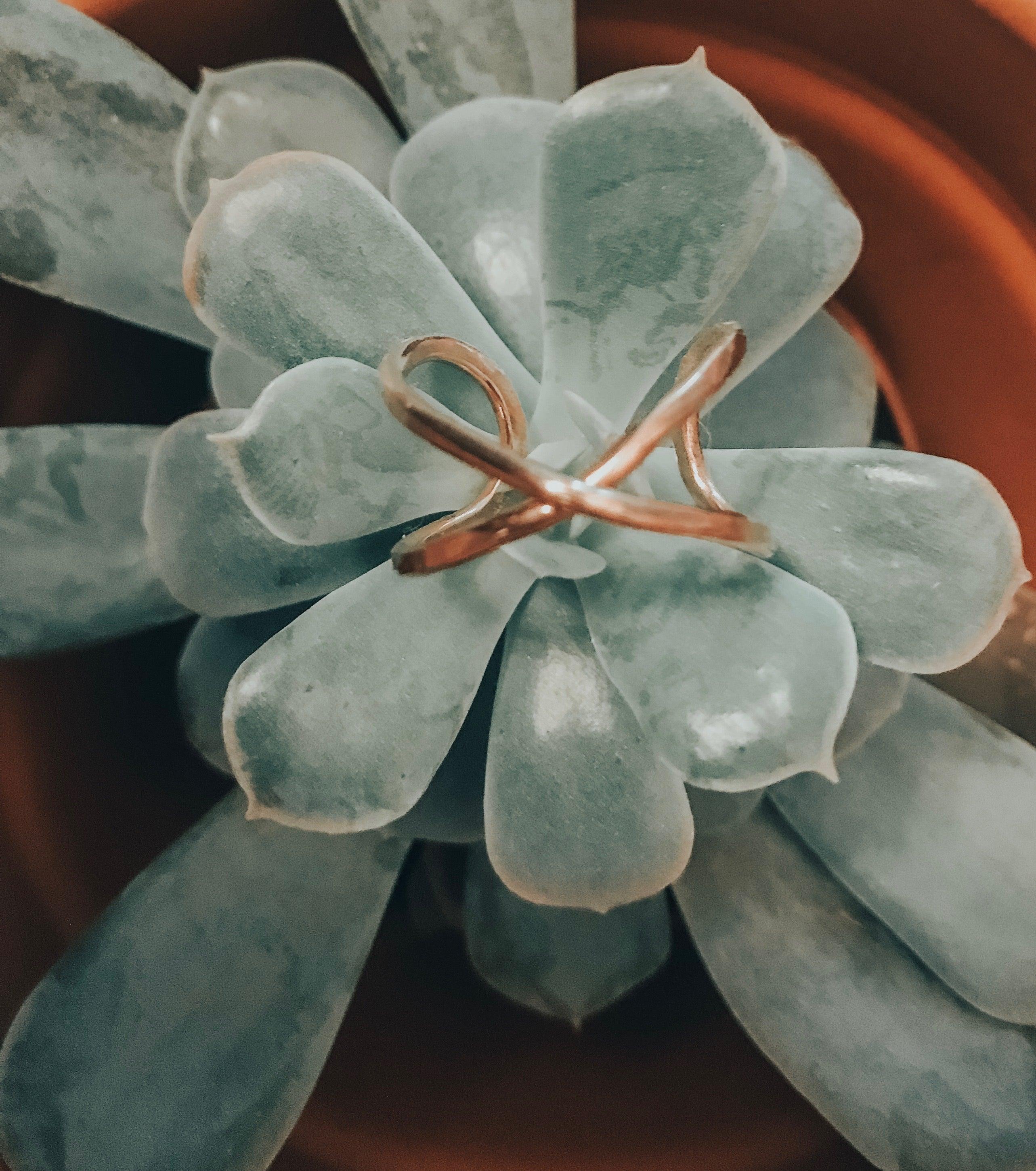 Infinity Ring - Nashelle