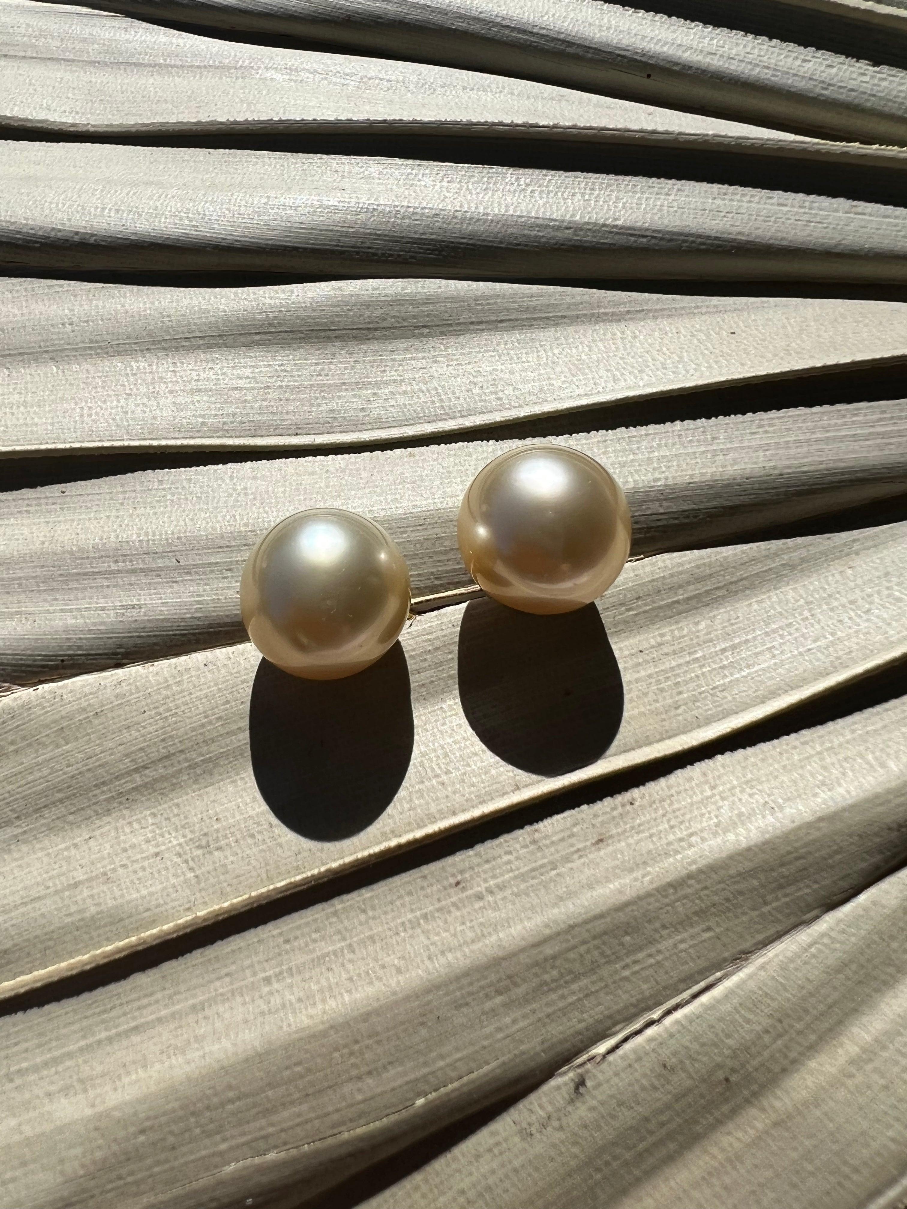 Champagne South Sea Pearl Studs - Nashelle