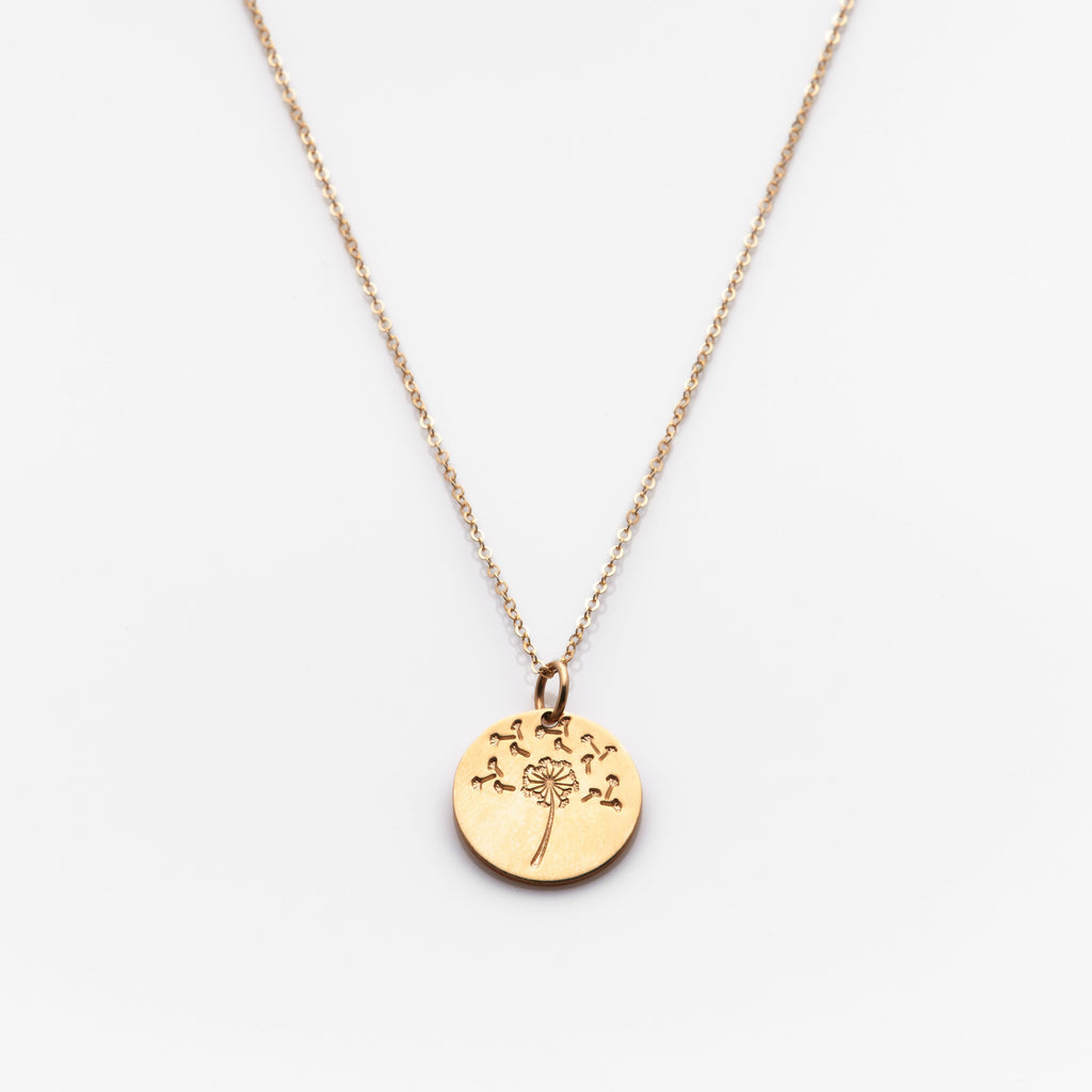 Wish Necklace - Nashelle